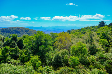 Hinterland, Bushland, Australien, 2019