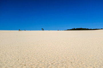 Fototapeta na wymiar Moreton Island, Sandboard, Australien, 2019