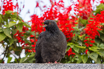 bird on branch