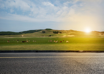 Grasslands of a highway