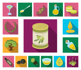 Olive, food flat icons in set collection for design. Olive oil, seasoning vector symbol stock web illustration.