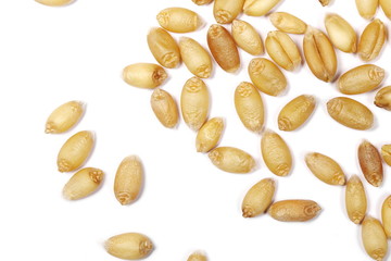 Wheat grains isolated on white background, macro top view
