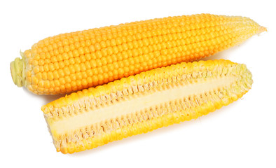 Corn on the cob isolated on white