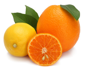Grapefruit, orange and lemon isolated on white