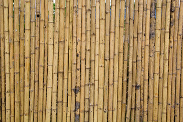 Bamboo Pattern Wall. Bamboo Background