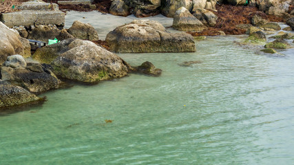 「松島」の海は透明度も抜群で、磯遊びに最適な場所です。