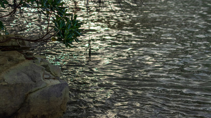 「松島」の海は透明度も抜群で、磯遊びに最適な場所です。