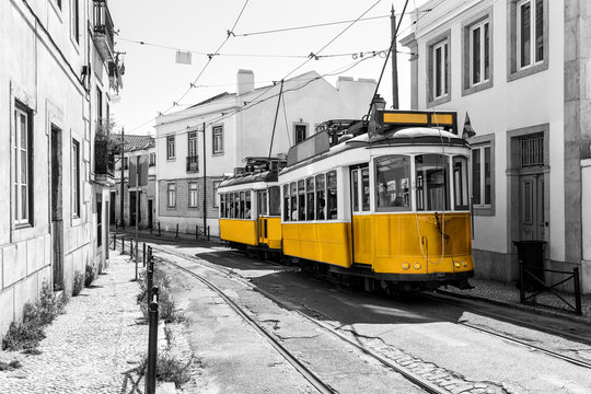 Yellow vintage trams on old streets of Lisbon, Alfama, Portugal, popular touristic attraction and destination. Black and white picture with a coloured tram. © hungry_herbivore
