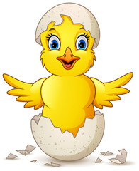 cartoon happy little chick with egg