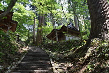 羽黒山五重塔の周辺の景色