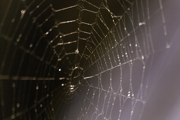 Spider web on rusty balcony fence on blurred background. Selective focus