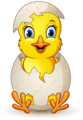 cartoon little chick with egg