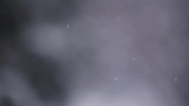 Snowing in 2018 december Location: Hungary, Budapest Recorded with a Canon 6D (2.8 70-200mm)