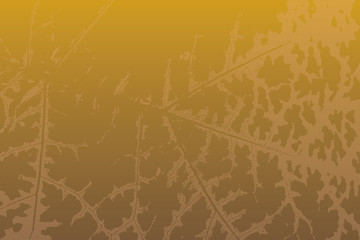 vein of the leafs as background vector