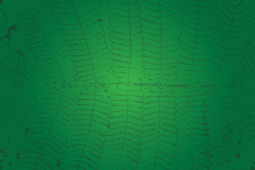 mimosa leaves as background vector