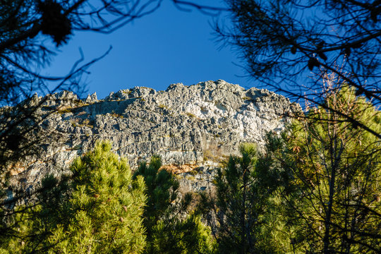 Vista de paredes de roca entre los pinos en la Sierra del Pinar, Montes del Teleno, Morla de la Valder&iacute;a, La Cabrera, Le&oacute;n, Espa&ntilde;a.