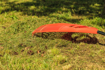Plastic red rake on ground.