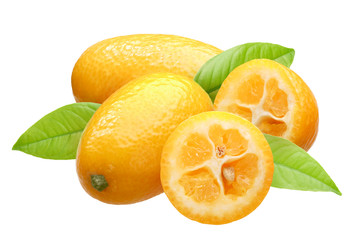 Kumquats c. japonica, leaves, paths