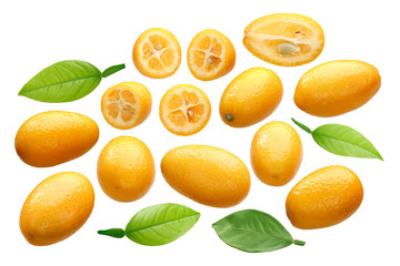 Kumquats c. japonica, leaves, paths