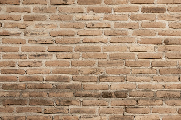 Brick wall texture 