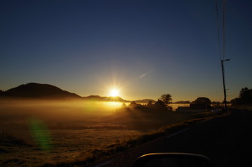 Frosty morning