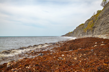 The coastline of Monmouth Beach with the cliffs of Liassic rocks at Chippel Bay. West Dorset. England