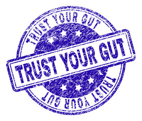 TRUST YOUR GUT stamp seal watermark with grunge texture. Designed with rounded rectangles and circles. Blue vector rubber print of TRUST YOUR GUT tag with grunge texture.