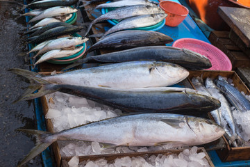 Fresh mackerel fish at the seafood market, Traditional fish in market.