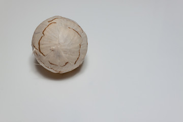 Kugel auf Weißen Hintergund 3