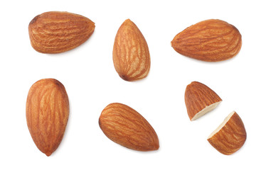 almonds isolated on white background top view