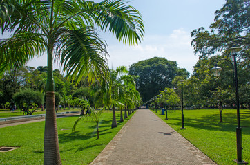 Fototapeta premium Viharamahadevi the park to the city of Colombo of Sri Lanka 