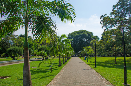 Viharamahadevi the park to the city of Colombo of Sri Lanka
