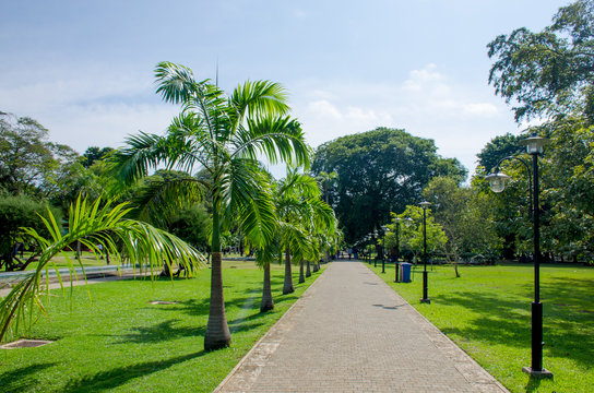 Viharamahadevi the park to the city of Colombo of Sri Lanka

