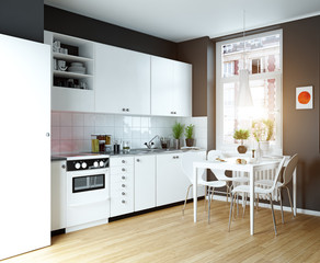 modern cozy kitchen interior