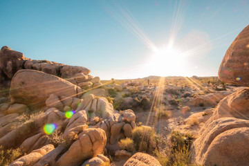 Joshua Tree National Park