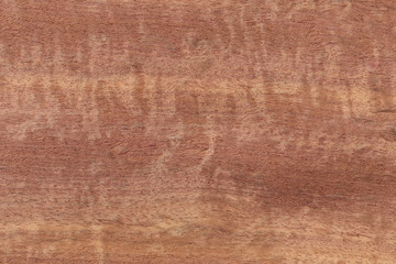 Fototapeta premium Wooden veneer to use as a background