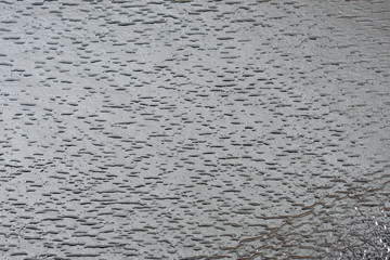 Silver background from metal foil on cardboard decorative texture