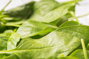 Close up of green crispy spinach, full frame