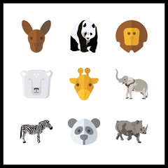 9 zoo icon. Vector illustration zoo set. polar bear and lion icons for zoo works