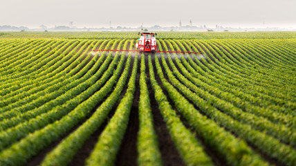 Tractor spraying a field