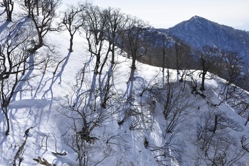 雪の丹沢山山稜と塔ノ岳