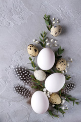 Easter spring decorative composition  with easter quail, chicken eggs and leaf sprigs of eucalyptus. On a gray concrete background with place for text.