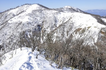 雪の縦走路 丹沢主脈