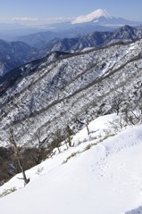 Fototapeta na wymiar 丹沢山の雪景色と富士山