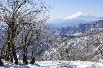 雪の丹沢山山頂から眺める富士山