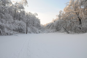 Winter snow frost