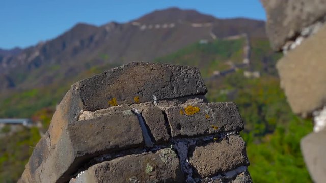 Slowmotion steadicam shot of the China Great wall that rises up the side of the mountain in a begining of fall. Camera moves upwards and reveals the Wall