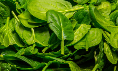 Baby Spinach