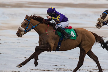 Close up action of galloping Race horse and jockey racing on the beach