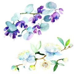 Bouquet floral flower. Watercolor background set. Watercolour drawing aquarelle. Isolated bouquet illustration element.
